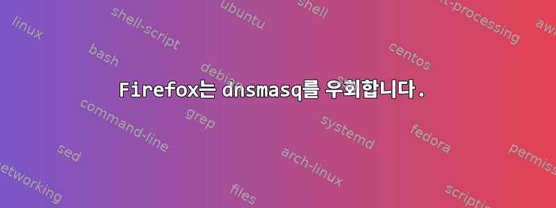 Firefox는 dnsmasq를 우회합니다.