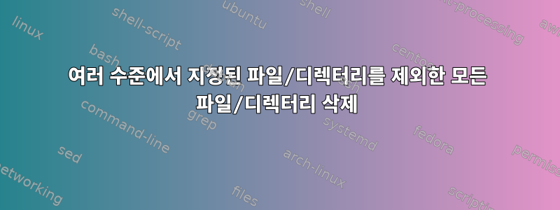 여러 수준에서 지정된 파일/디렉터리를 제외한 모든 파일/디렉터리 삭제