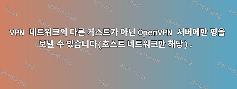 VPN 네트워크의 다른 게스트가 아닌 OpenVPN 서버에만 핑을 보낼 수 있습니다(호스트 네트워크만 해당).