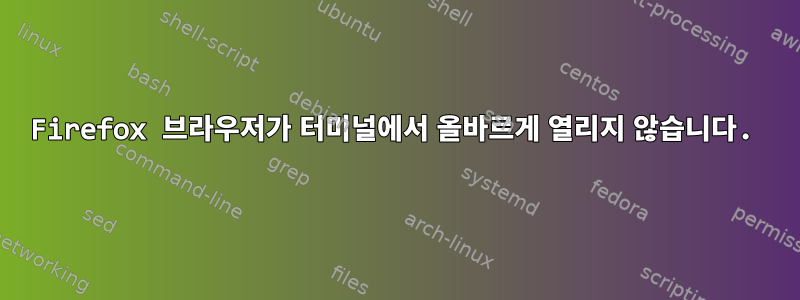 Firefox 브라우저가 터미널에서 올바르게 열리지 않습니다.