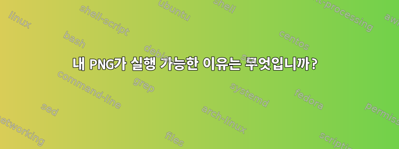 내 PNG가 실행 가능한 이유는 무엇입니까?