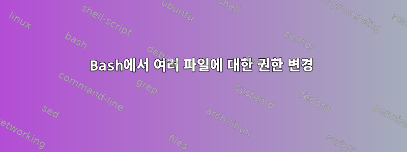 Bash에서 여러 파일에 대한 권한 변경