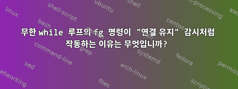 무한 while 루프의 fg 명령이 "연결 유지" 감시처럼 작동하는 이유는 무엇입니까?