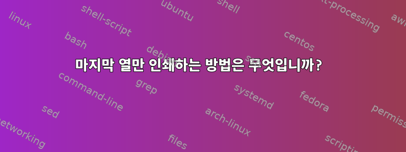 마지막 열만 인쇄하는 방법은 무엇입니까?