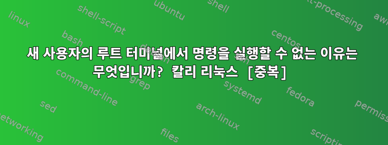 새 사용자의 루트 터미널에서 명령을 실행할 수 없는 이유는 무엇입니까? 칼리 리눅스 [중복]