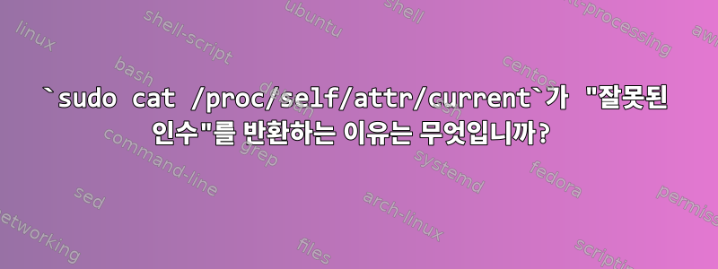 `sudo cat /proc/self/attr/current`가 "잘못된 인수"를 반환하는 이유는 무엇입니까?