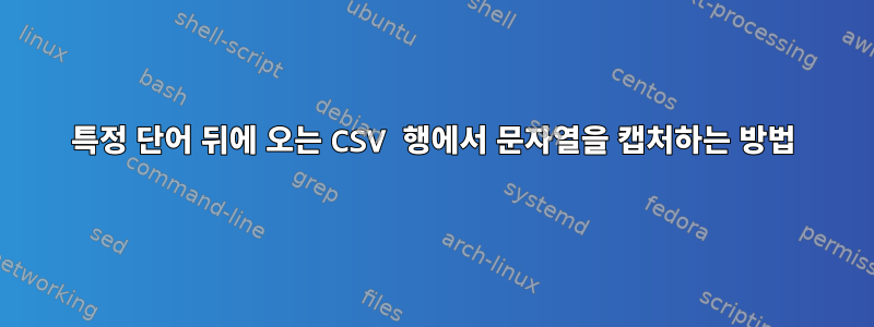 특정 단어 뒤에 오는 CSV 행에서 문자열을 캡처하는 방법