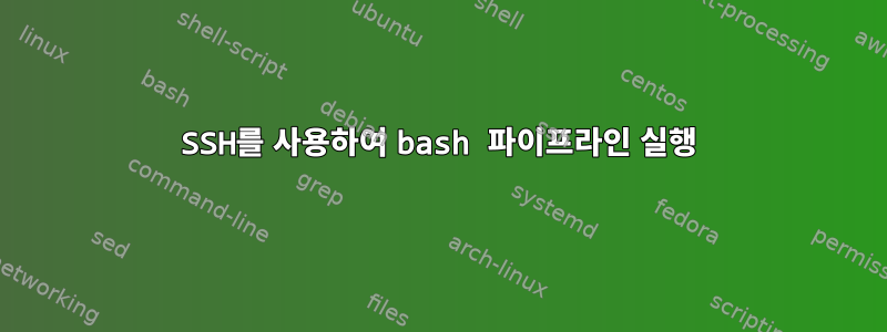 SSH를 사용하여 bash 파이프라인 실행