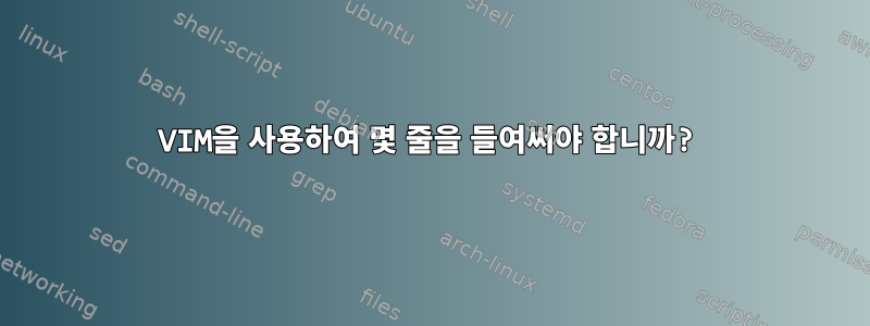 VIM을 사용하여 몇 줄을 들여써야 합니까?