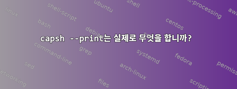 capsh --print는 실제로 무엇을 합니까?