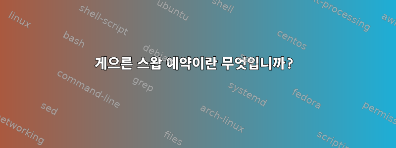 게으른 스왑 예약이란 무엇입니까?