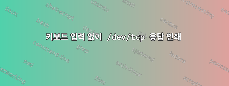 키보드 입력 없이 /dev/tcp 응답 인쇄