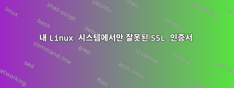 내 Linux 시스템에서만 잘못된 SSL 인증서