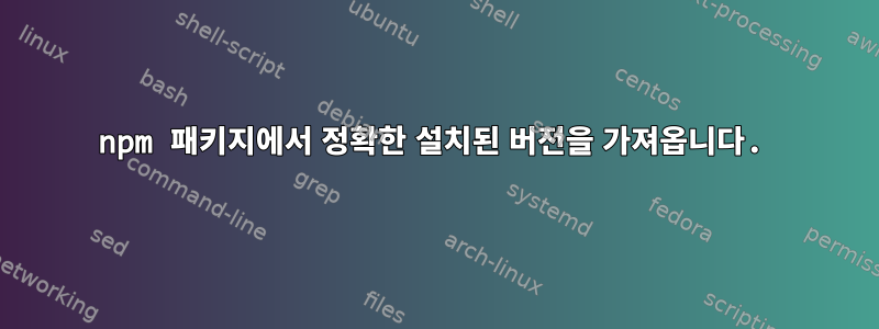 npm 패키지에서 정확한 설치된 버전을 가져옵니다.