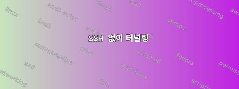 SSH 없이 터널링