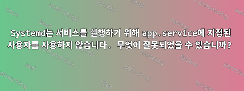 Systemd는 서비스를 실행하기 위해 app.service에 지정된 사용자를 사용하지 않습니다. 무엇이 잘못되었을 수 있습니까?