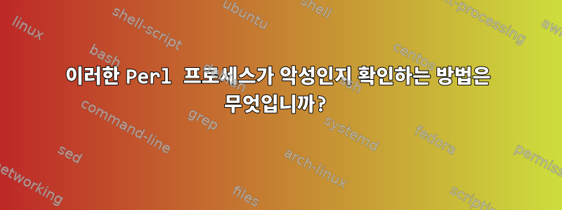 이러한 Perl 프로세스가 악성인지 확인하는 방법은 무엇입니까?