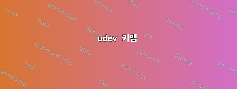 udev 키맵