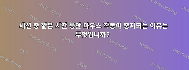 세션 중 짧은 시간 동안 마우스 작동이 중지되는 이유는 무엇입니까?