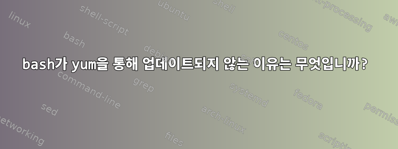 bash가 yum을 통해 업데이트되지 않는 이유는 무엇입니까?