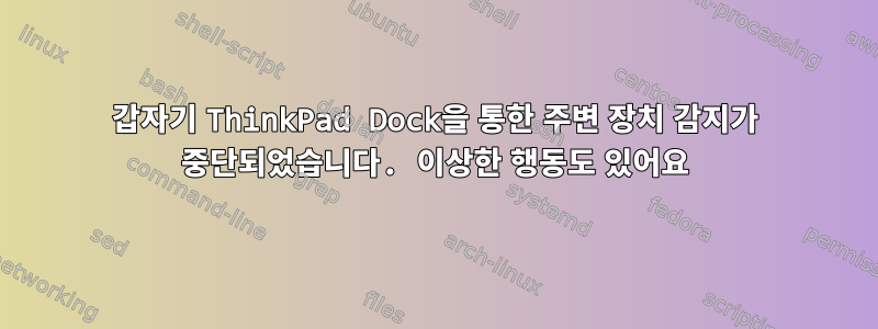 갑자기 ThinkPad Dock을 통한 주변 장치 감지가 중단되었습니다. 이상한 행동도 있어요