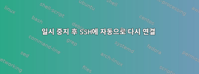 일시 중지 후 SSH에 자동으로 다시 연결