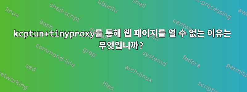 kcptun+tinyproxy를 통해 웹 페이지를 열 수 없는 이유는 무엇입니까?