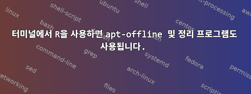 터미널에서 R을 사용하면 apt-offline 및 정리 프로그램도 사용됩니다.