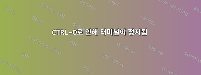 CTRL-O로 인해 터미널이 정지됨