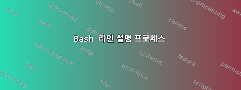 Bash 라인 설명 프로세스