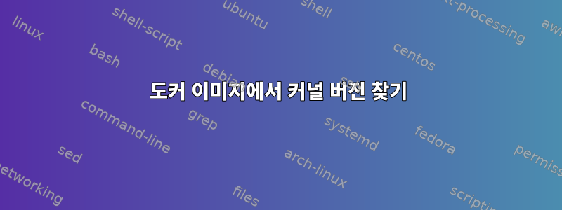 도커 이미지에서 커널 버전 찾기