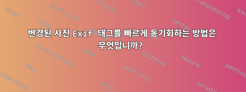 변경된 사진 Exif 태그를 빠르게 동기화하는 방법은 무엇입니까?