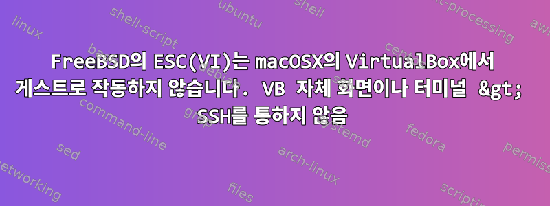 FreeBSD의 ESC(VI)는 macOSX의 VirtualBox에서 게스트로 작동하지 않습니다. VB 자체 화면이나 터미널 &gt; SSH를 통하지 않음