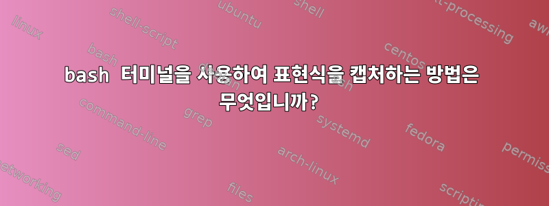 bash 터미널을 사용하여 표현식을 캡처하는 방법은 무엇입니까?