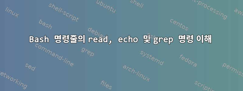 Bash 명령줄의 read, echo 및 grep 명령 이해