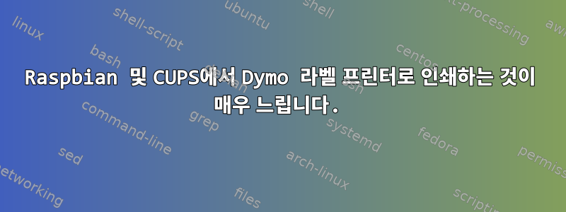 Raspbian 및 CUPS에서 Dymo 라벨 프린터로 인쇄하는 것이 매우 느립니다.