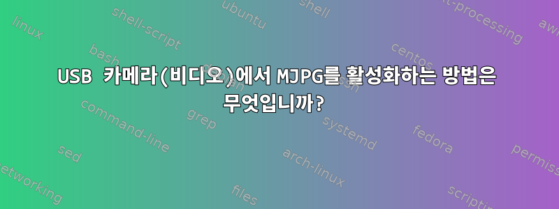 USB 카메라(비디오)에서 MJPG를 활성화하는 방법은 무엇입니까?