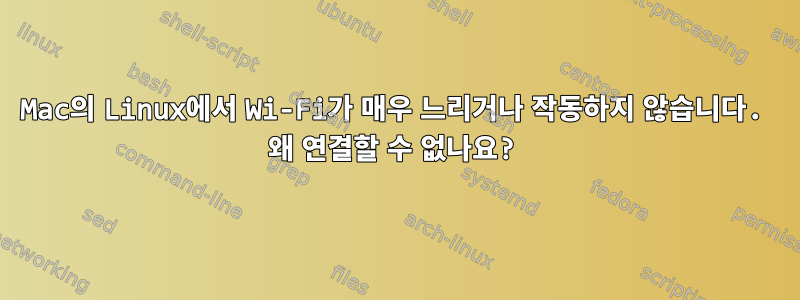 Mac의 Linux에서 Wi-Fi가 매우 느리거나 작동하지 않습니다. 왜 연결할 수 없나요?