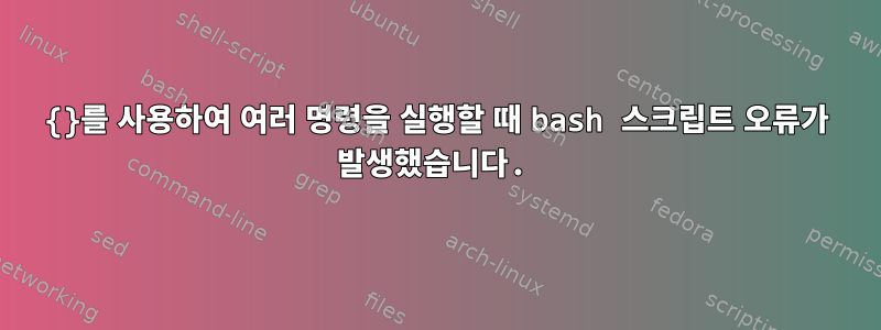 {}를 사용하여 여러 명령을 실행할 때 bash 스크립트 오류가 발생했습니다.