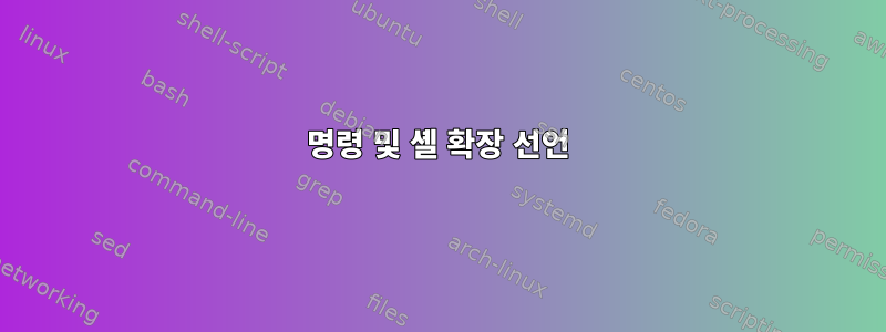 명령 및 셸 확장 선언