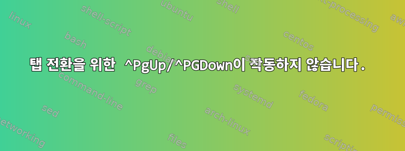 탭 전환을 위한 ^PgUp/^PGDown이 작동하지 않습니다.