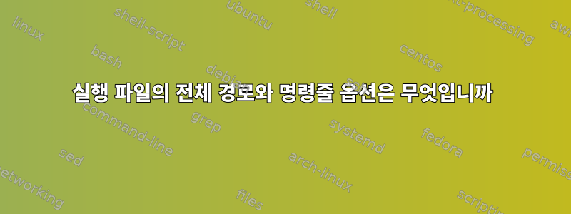 실행 파일의 전체 경로와 명령줄 옵션은 무엇입니까