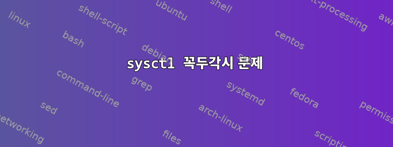 sysctl 꼭두각시 문제