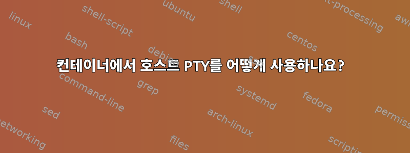 컨테이너에서 호스트 PTY를 어떻게 사용하나요?