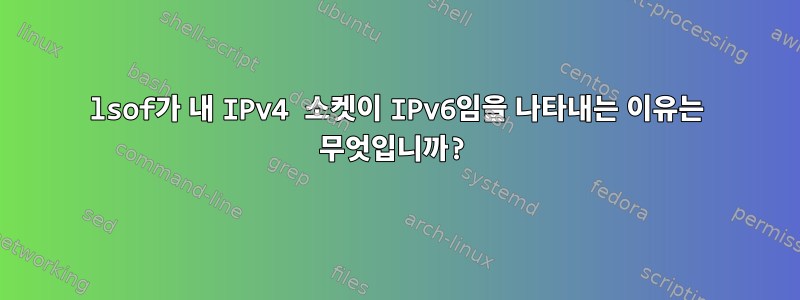 lsof가 내 IPv4 소켓이 IPv6임을 나타내는 이유는 무엇입니까?