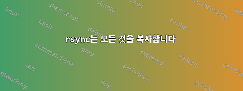 rsync는 모든 것을 복사합니다