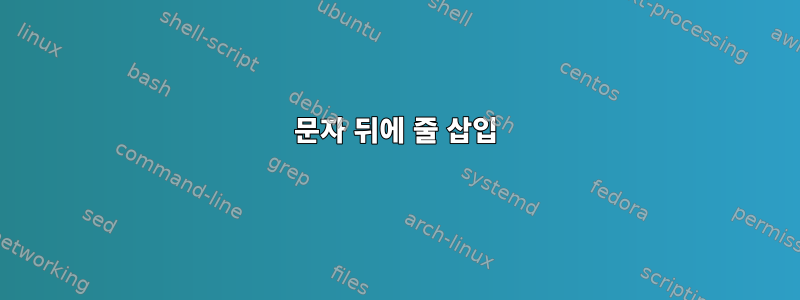 문자 뒤에 줄 삽입