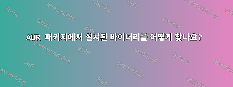 AUR 패키지에서 설치된 바이너리를 어떻게 찾나요?