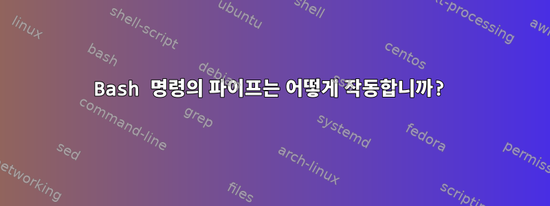 Bash 명령의 파이프는 어떻게 작동합니까?