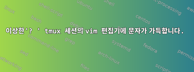 이상한'? ' tmux 세션의 vim 편집기에 문자가 가득합니다.